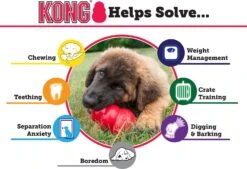 Kong Hondenspeelgoed Extreme Zwart D 7 H 10 Cm -Beeztees || FLEXI || ROYAL CANIN Winkel 0035585111124 3
