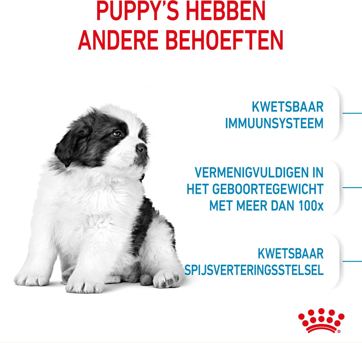 Royal Canin Hondenvoer Giant Puppy 15 Kg 3 Royal Canin Hondenvoer Giant Puppy 15 Kg - Afbeelding 3