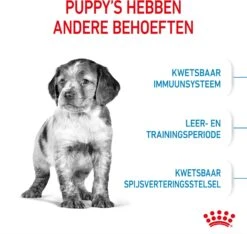 Royal Canin Medium Puppy 4 Kg -Beeztees || FLEXI || ROYAL CANIN Winkel 3182550708180 3