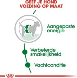 Royal Canin Hondenvoer Mini Adult 8 Kg -Beeztees || FLEXI || ROYAL CANIN Winkel 3182550716888 3