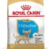 Royal Canin Hondenvoer Chihuahua Puppy 1,5 Kg