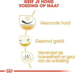 Royal Canin Hondenvoer Shih Tzu Adult 1,5 Kg -Beeztees || FLEXI || ROYAL CANIN Winkel 3182550743228 4