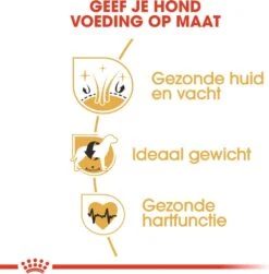 Royal Canin Hondenvoer Cocker Adult 3 Kg -Beeztees || FLEXI || ROYAL CANIN Winkel 3182550743709 4