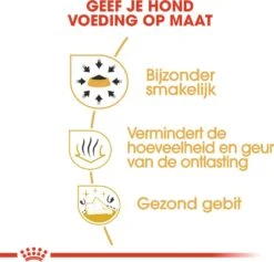 Royal Canin Hondenvoer Chihuahua Adult 3 Kg -Beeztees || FLEXI || ROYAL CANIN Winkel 3182550747820 4