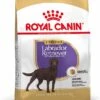 Royal Canin Hondenvoer Labrador Retriever Sterilised Adult 12 Kg