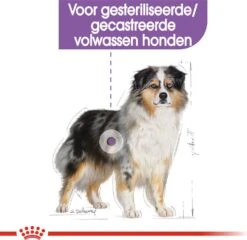Beeztees || FLEXI || ROYAL CANIN Winkel -Beeztees || FLEXI || ROYAL CANIN Winkel 3182550787826 2