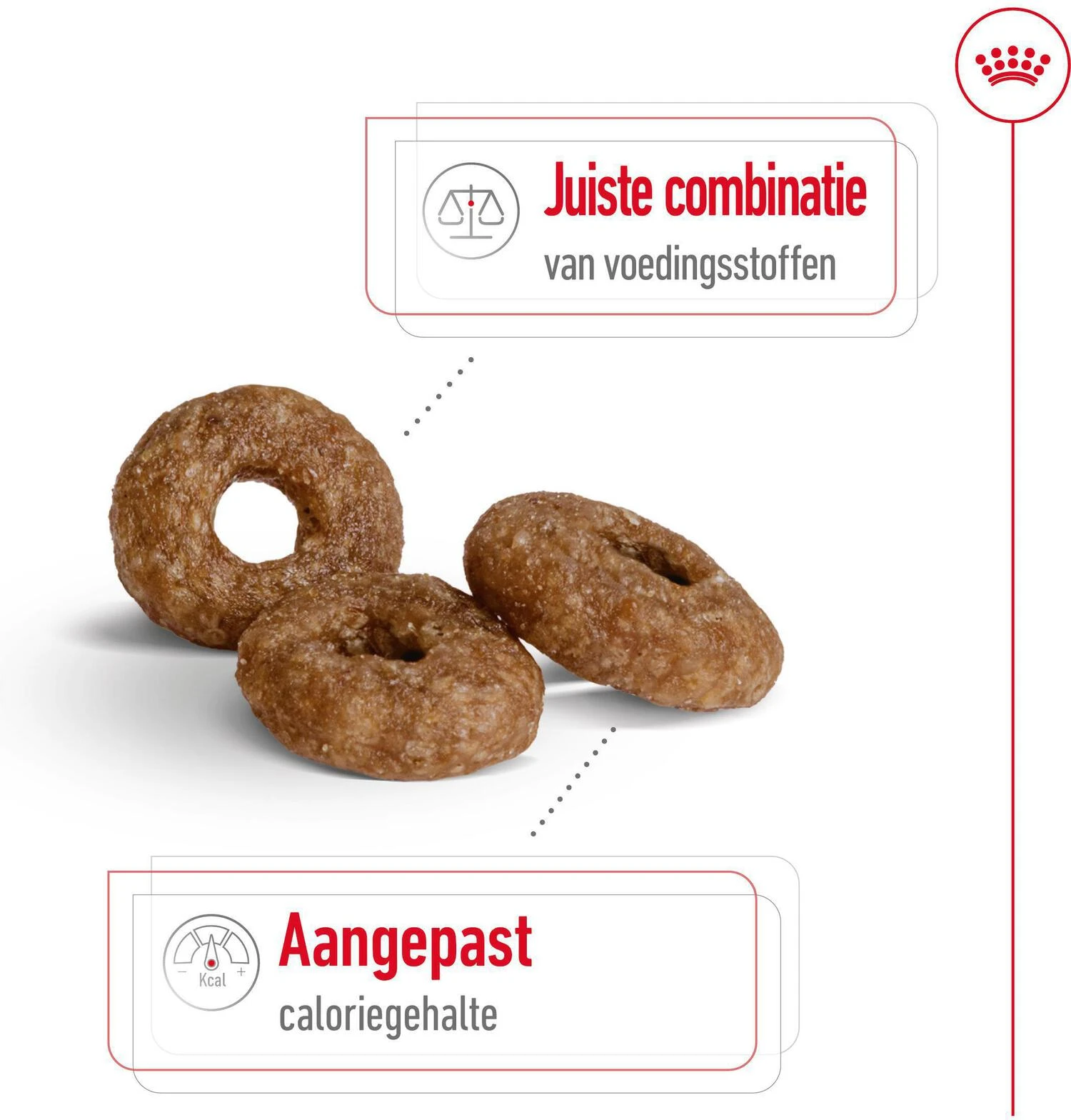 Royal Canin Hondenvoer Mini Ageing 12+ 3,5 Kg 3 Royal Canin Hondenvoer Mini Ageing 12+ 3,5 Kg - Afbeelding 3