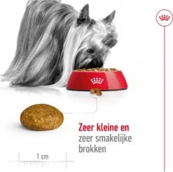 Royal Canin Hondenvoer X-Small Adult 1,5 Kg 8 Royal Canin Hondenvoer X-Small Adult 1,5 Kg -Beeztees || FLEXI || ROYAL CANIN Winkel 3182550793728 4