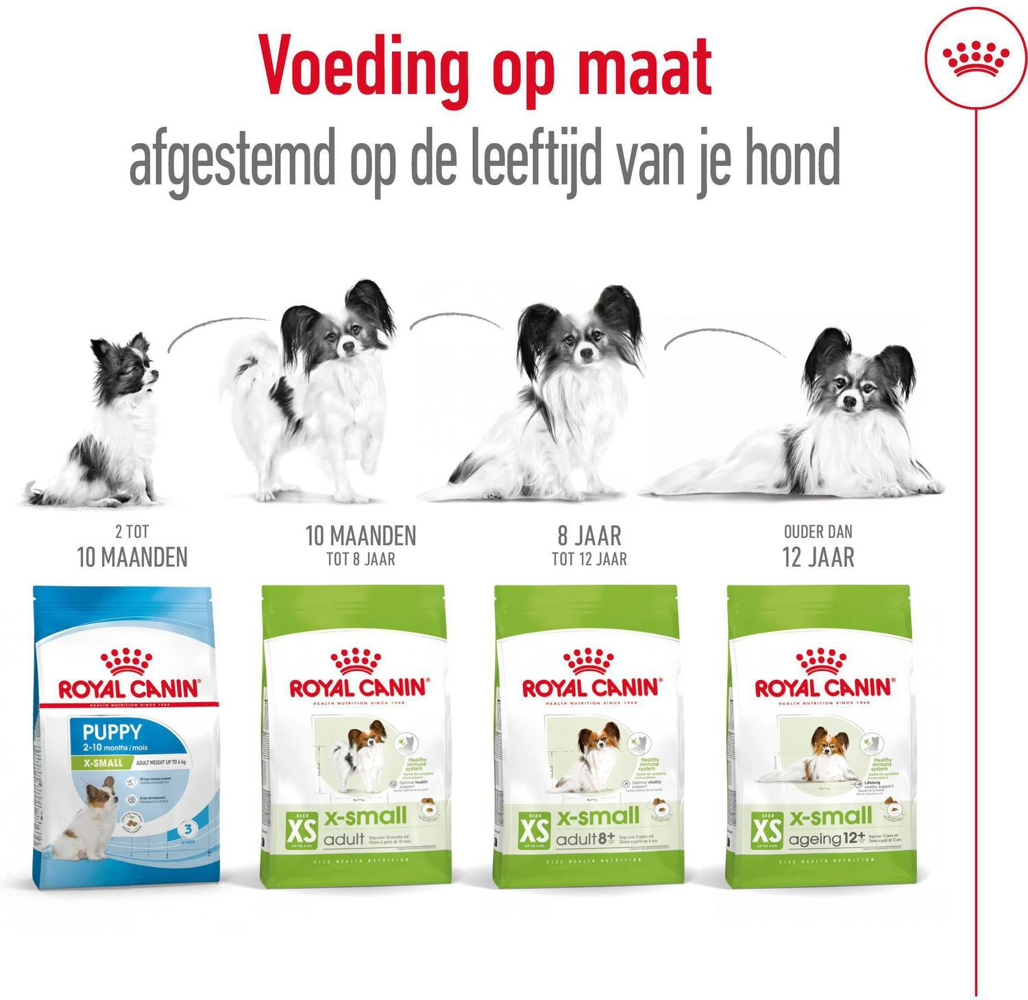 Royal Canin Hondenvoer X-Small Adult 1,5 Kg 5 Royal Canin Hondenvoer X-Small Adult 1,5 Kg - Afbeelding 5