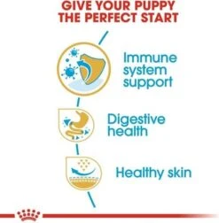 Royal Canin Hondenvoer French Bulldog Puppy 3 Kg -Beeztees || FLEXI || ROYAL CANIN Winkel 3182550811705 2