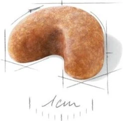 Royal Canin Hondenvoer French Bulldog Puppy 3 Kg -Beeztees || FLEXI || ROYAL CANIN Winkel 3182550811705 3