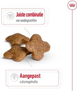 Royal Canin Hondenvoer Mini Adult 8+ 4 Kg -Beeztees || FLEXI || ROYAL CANIN Winkel 3182550831390 3