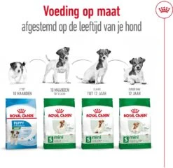 Royal Canin Hondenvoer Mini Adult 8+ 4 Kg -Beeztees || FLEXI || ROYAL CANIN Winkel 3182550831390 5