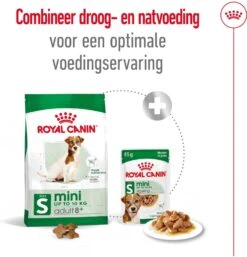 Royal Canin Hondenvoer Mini Adult 8+ 4 Kg -Beeztees || FLEXI || ROYAL CANIN Winkel 3182550831390 6