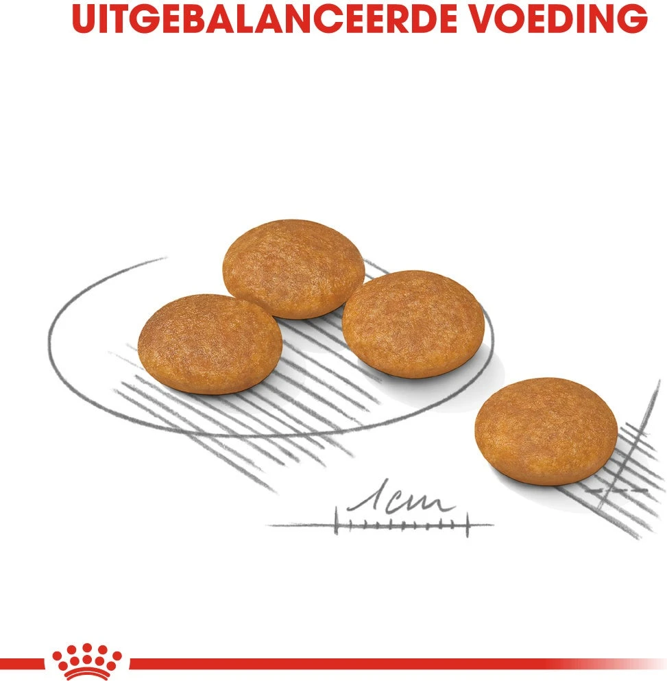 Royal Canin Hondenvoer Dermacomfort Mini 3 Kg 3 Royal Canin Hondenvoer Dermacomfort Mini 3 Kg - Afbeelding 3