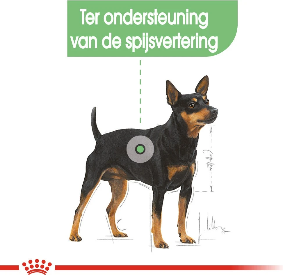 Royal Canin Hondenvoer Digestive Care Mini 3 Kg 2 Royal Canin Hondenvoer Digestive Care Mini 3 Kg - Afbeelding 2