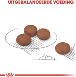 Royal Canin Hondenvoer Digestive Care Mini 3 Kg 8 Royal Canin Hondenvoer Digestive Care Mini 3 Kg -Beeztees || FLEXI || ROYAL CANIN Winkel 3182550894012 3