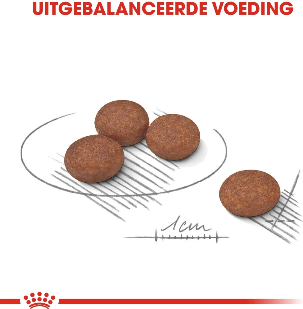 Royal Canin Hondenvoer Digestive Care Mini 3 Kg 3 Royal Canin Hondenvoer Digestive Care Mini 3 Kg - Afbeelding 3