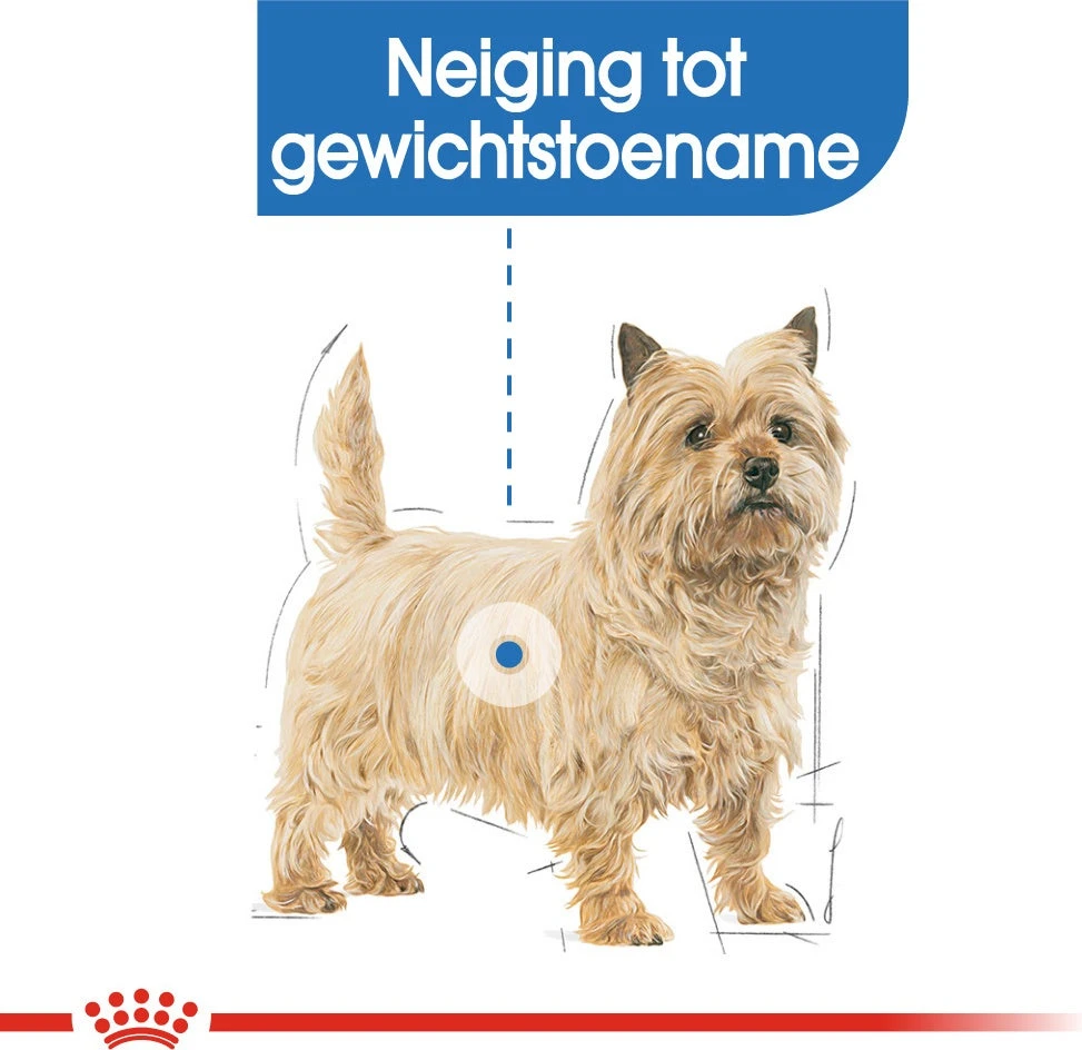 Royal Canin Hondenvoer Light Weight Care Mini 3 Kg 2 Royal Canin Hondenvoer Light Weight Care Mini 3 Kg - Afbeelding 2