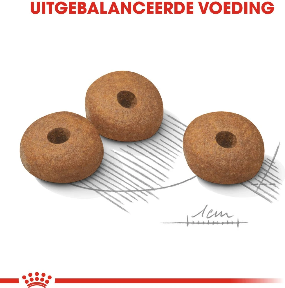 Royal Canin Hondenvoer Light Weight Care Mini 3 Kg 3 Royal Canin Hondenvoer Light Weight Care Mini 3 Kg - Afbeelding 3