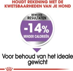 Royal Canin Hondenvoer Sterilised Mini 3 Kg -Beeztees || FLEXI || ROYAL CANIN Winkel 3182550894128 4