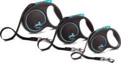 Flexi Hondenriem Rollijn Black Design Tape L Blauw 5 M -Beeztees || FLEXI || ROYAL CANIN Winkel 4000498034132 3