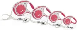 Flexi Hondenriem Rollijn New Comfort Tape XS Rood 3 M -Beeztees || FLEXI || ROYAL CANIN Winkel 4000498043424 3