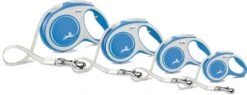 Flexi Hondenriem Rollijn New Comfort Tape XS Blauw 3 M -Beeztees || FLEXI || ROYAL CANIN Winkel 4000498043431 3