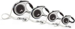 Flexi Hondenriem Rollijn New Comfort Tape XS Zwart 3 M -Beeztees || FLEXI || ROYAL CANIN Winkel 4000498043448 3