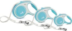 Flexi Hondenriem Rollijn New Comfort Tape S Lichtblauw 5 M -Beeztees || FLEXI || ROYAL CANIN Winkel 4000498043516 3