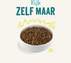 Edgard & Cooper Hondenvoer Plant-based Wortel Adult 2,5 Kg -Beeztees || FLEXI || ROYAL CANIN Winkel 5407007149179 3