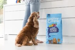 Edgard & Cooper Hondenvoer Verse Noorse Zalm Adult 2,5 Kg -Beeztees || FLEXI || ROYAL CANIN Winkel 5425039485058 6