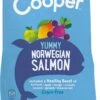 Edgard & Cooper Hondenvoer Verse Noorse Zalm Adult 7 Kg