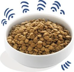 Edgard & Cooper Hondenvoer Verse Noorse Zalm Adult 7 Kg -Beeztees || FLEXI || ROYAL CANIN Winkel 5425039485065 3