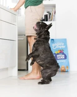 Edgard & Cooper Hondenvoer Verse Noorse Zalm Adult 7 Kg -Beeztees || FLEXI || ROYAL CANIN Winkel 5425039485065 6