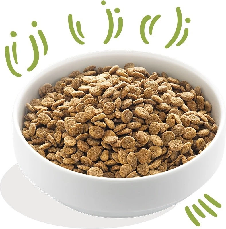 Edgard & Cooper Hondenvoer Verse Graslam Adult 12 Kg 3 Edgard & Cooper Hondenvoer Verse Graslam Adult 12 Kg - Afbeelding 3