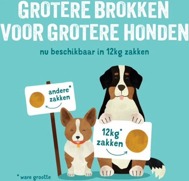 Edgard & Cooper Hondenvoer Verse Graslam Adult 12 Kg 6 Edgard & Cooper Hondenvoer Verse Graslam Adult 12 Kg - Afbeelding 6