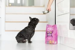 Edgard & Cooper Hondenvoer Hert En Scharreleend Adult 2,5 Kg -Beeztees || FLEXI || ROYAL CANIN Winkel 5425039485133 6