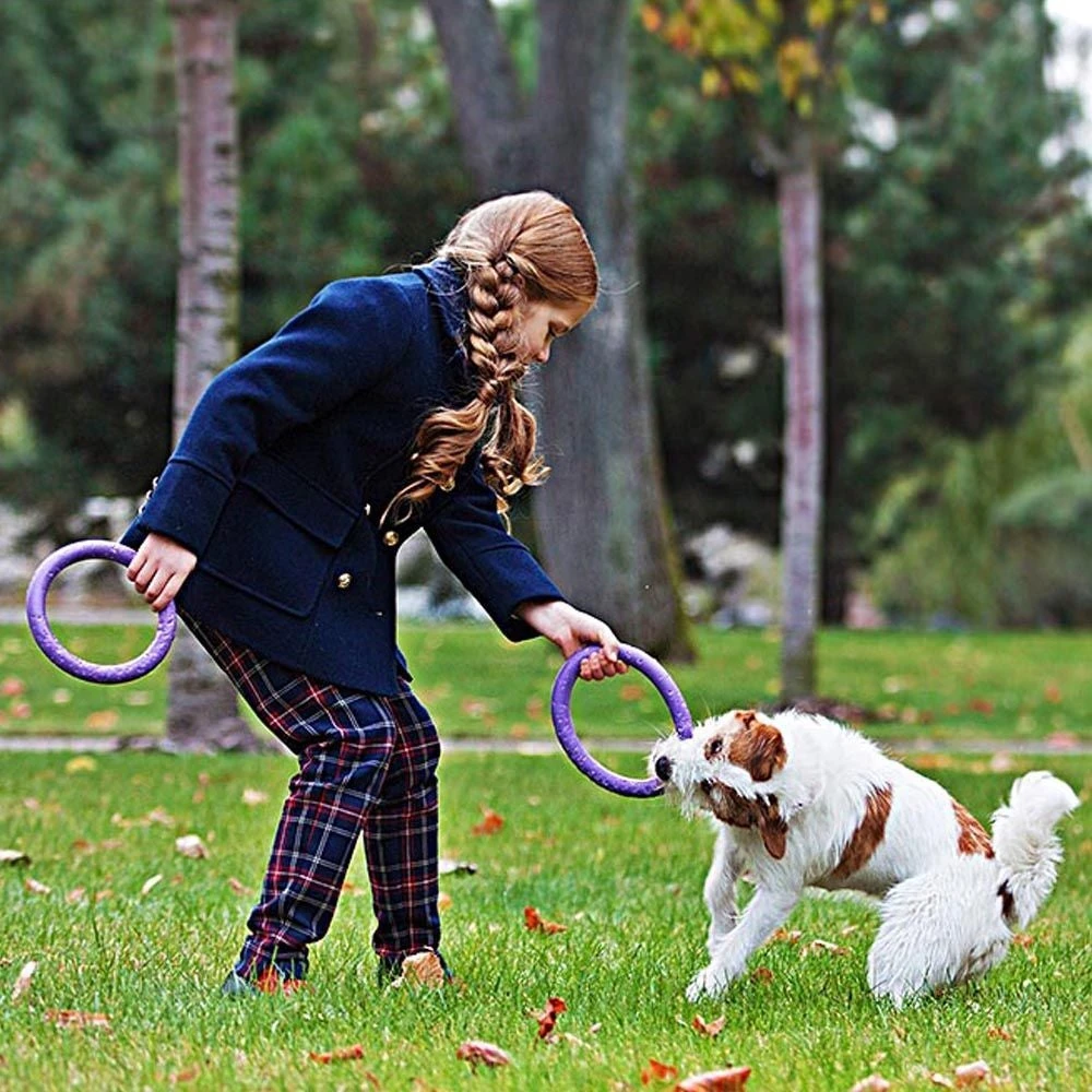 Ferplast Hondenspeelgoed Puller Mini Paars D 18 H 4,7 Cm 2 Stuks 3 Ferplast Hondenspeelgoed Puller Mini Paars D 18 H 4,7 Cm 2 Stuks - Afbeelding 3