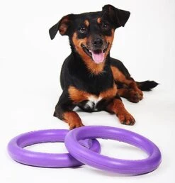 Ferplast Hondenspeelgoed Puller Mini Paars D 18 H 4,7 Cm 2 Stuks 11 Ferplast Hondenspeelgoed Puller Mini Paars D 18 H 4,7 Cm 2 Stuks -Beeztees || FLEXI || ROYAL CANIN Winkel 8010690183015 5