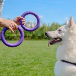 Ferplast Hondenspeelgoed Puller Midi Paars D 19 H 6,4 Cm 2 Stuks -Beeztees || FLEXI || ROYAL CANIN Winkel 8010690183022 7