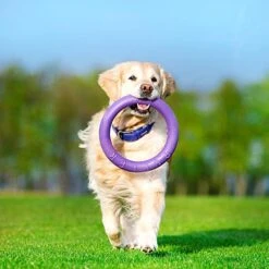 Ferplast Hondenspeelgoed Puller Standaard Paars D 27 H 8,5 Cm 2 Stuks -Beeztees || FLEXI || ROYAL CANIN Winkel 8010690183039 6