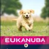 Eukanuba Hondenvoer Puppy (extra) Groot Lam En Rijst 12 Kg