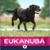 Eukanuba Hondenvoer Mature Senior (extra) Groot Kip 12 Kg