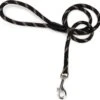 Beeztees Hondenlooplijn 100 X 1,3 Cm Zwart