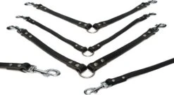 Beeztees Koppel 2 Hond 30 X 12 Cm Zwart