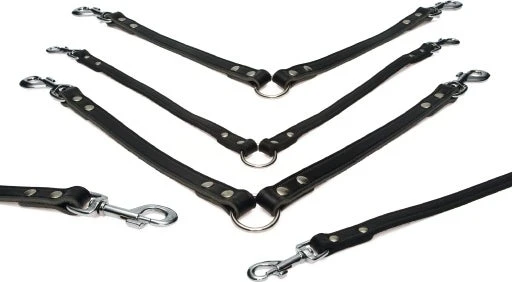 Beeztees Koppel 2 Hond 30 X 12 Cm Zwart 1 Beeztees Koppel 2 Hond 30 X 12 Cm Zwart