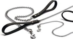 Beeztees Kettinglijn Zwart 12 Mm X 120 Cm