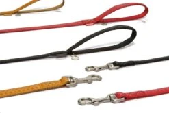 Beeztees Hondenlooplijn 120 X 2,5 Cm Rood