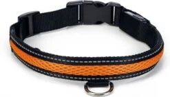Beeztees Hondenhalsband Safety Gear Ruflo Oranje 55-70 X 2,5 Cm